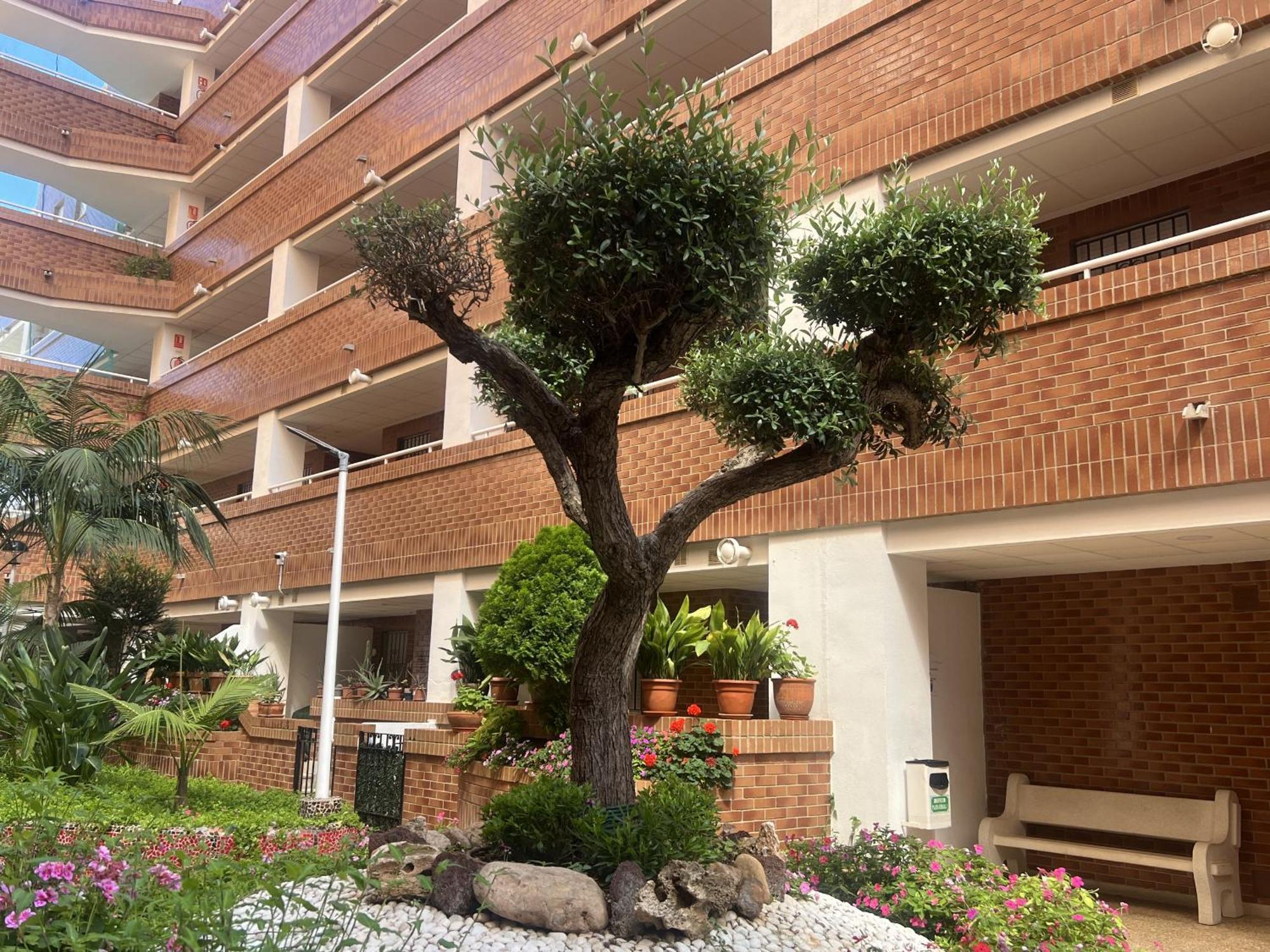 Apartamentos Marina Park Oropesa del Mar Ngoại thất bức ảnh